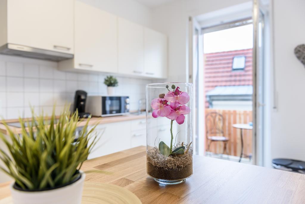 Deluxe Apartment Mit Schlossbergblick Freiburg im Breisgau Exterior foto